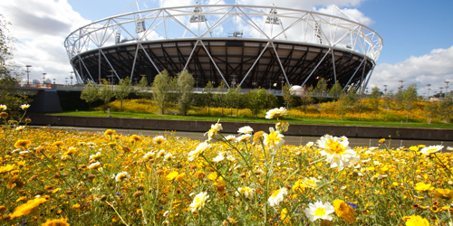 The parklands area in the south of the Olympic Park looking towards the Olympic Stadium. Photo by Anthony Charlton, courtesy Hargreaves Associates.