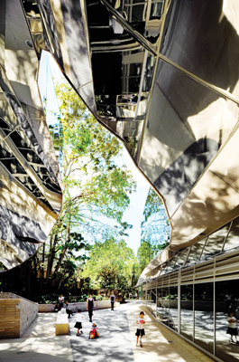 Cairns-Botanic-Gardens-Charles-Wright-4