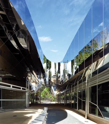 Cairns-Botanic-Gardens-Charles-Wright-6