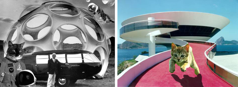 Buckmeowster-Fuller-Oscar-Niemeyower