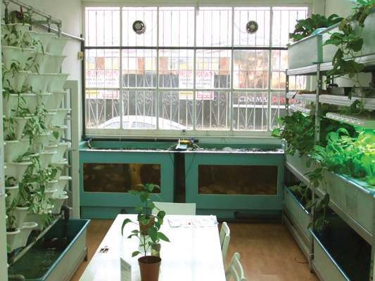 FARMshop 2
