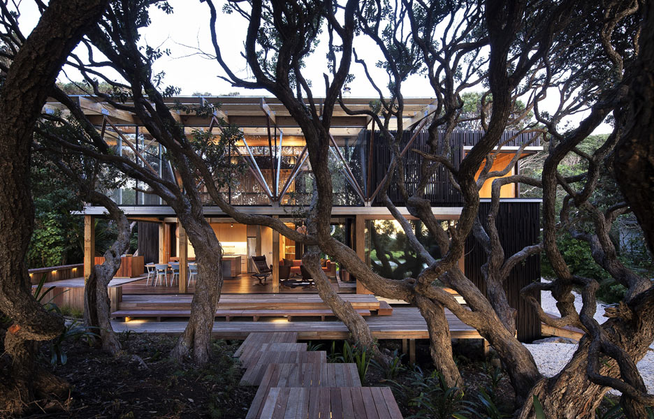 Under-Pohutukawa-Herbst-Architects