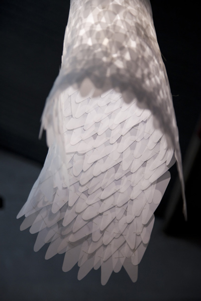 Christina-Waterson-Veil