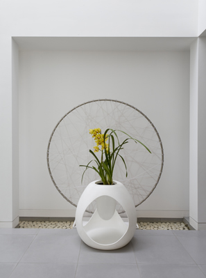 Helen-Kontouris-Zoie-planter