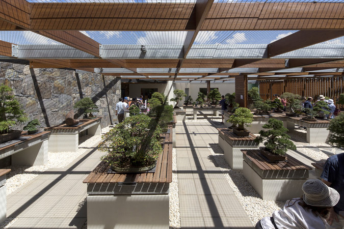 tonkin-zulaikha-greer_national-arboretum