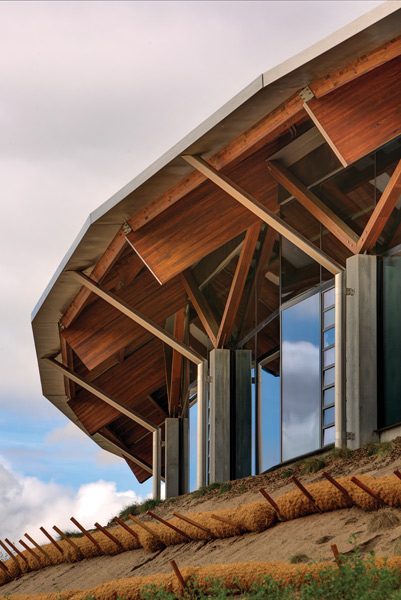 Tonkin-Zulaikha-Greer-National-Arboretum-Canberra-5