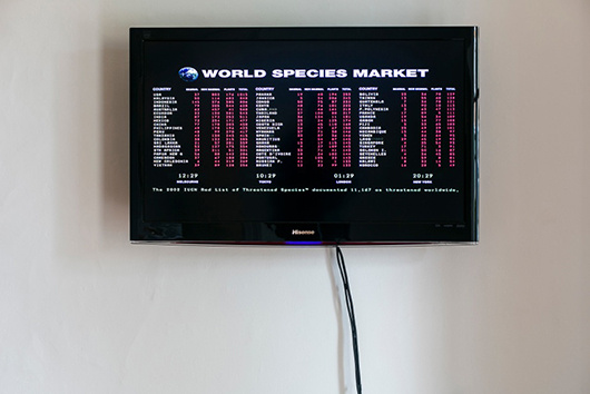 Debbie Symons' winning project 'World Species Market'