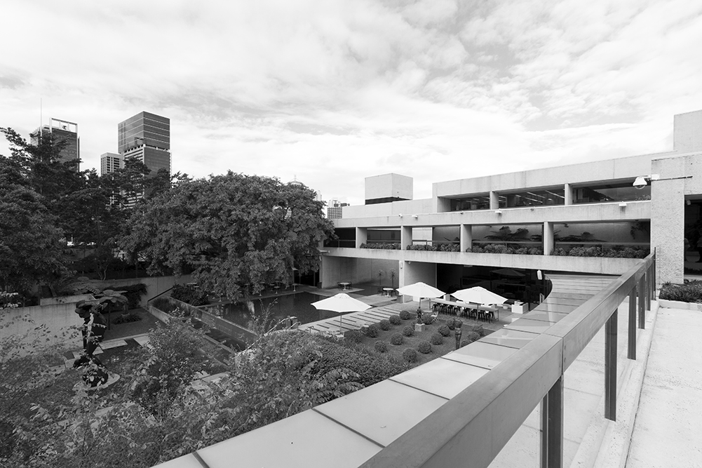 The Sculpture Garden at the Queensland Art Gallery