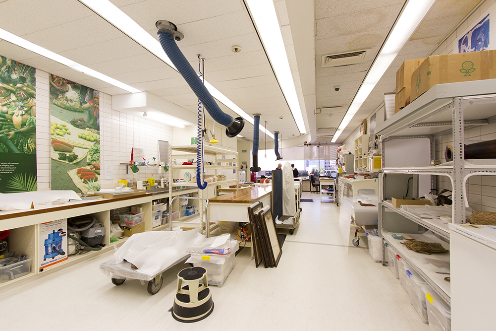Upper level laboratory in the Queensland Museum