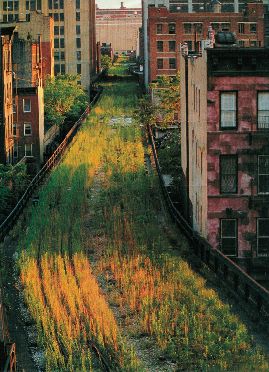 Image courtesy of Russel Fernandez/ Princeton Architectural Press