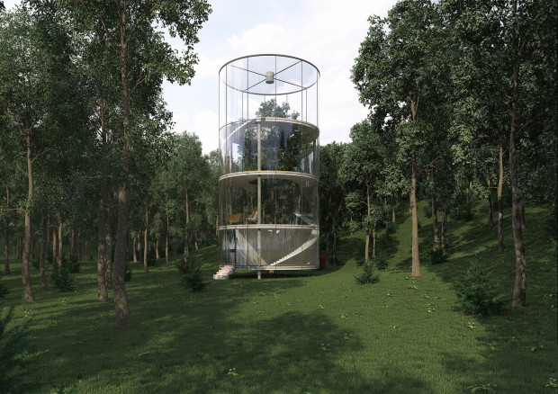 Tree in the house by A Masow Architects, image courtesy A Masow Architects.