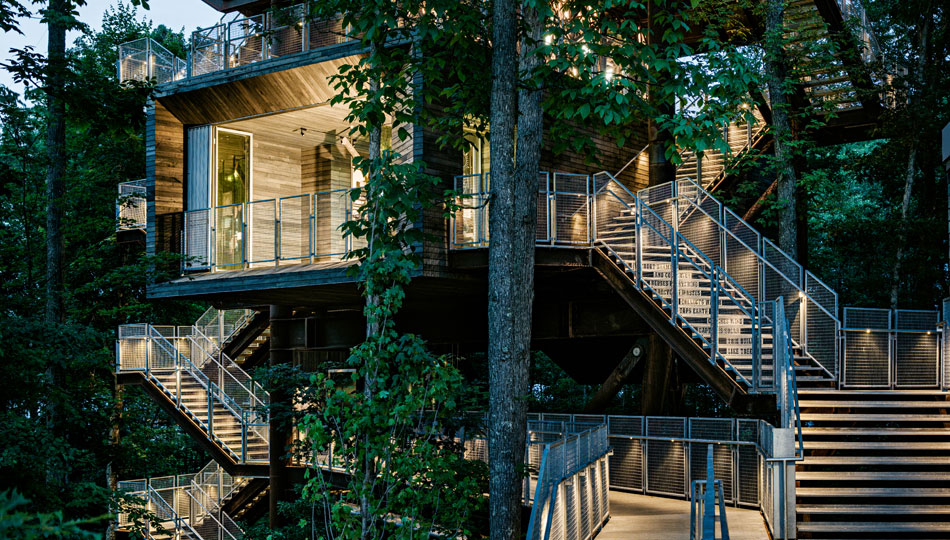 Treehouse_Mithun