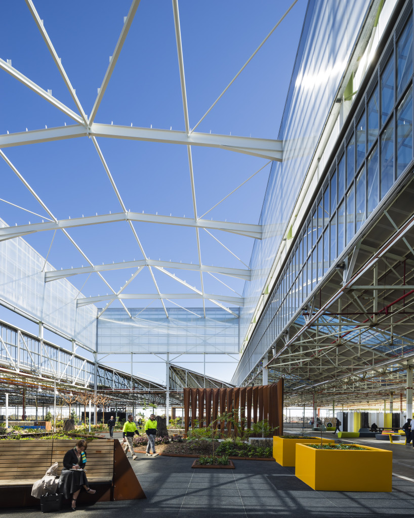 Open courtyard space at Tonsley. Photo by Sam Noonan.