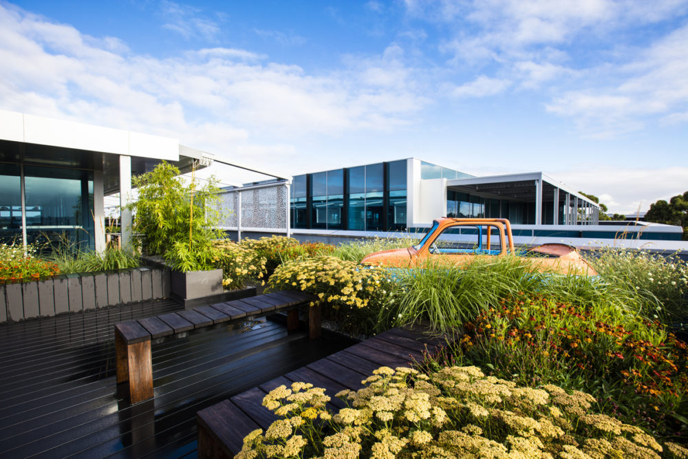 rooftop garden