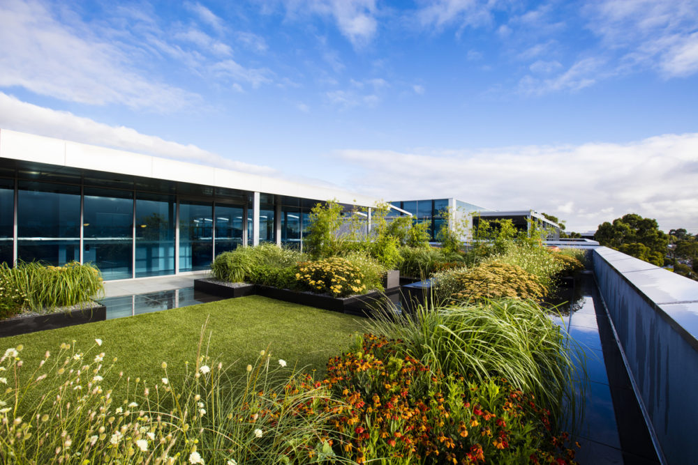 rooftop garden