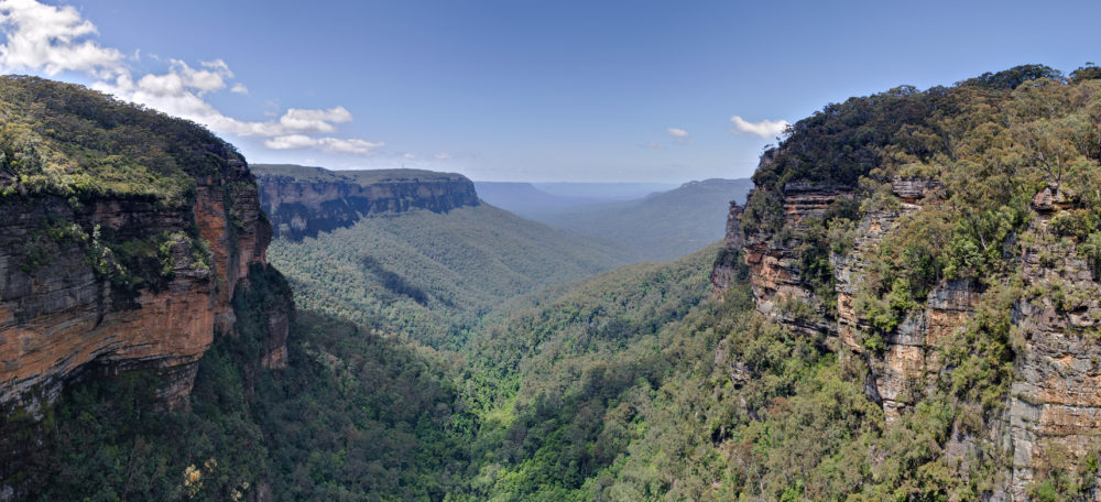 Blue Mountains, NSW. hunter