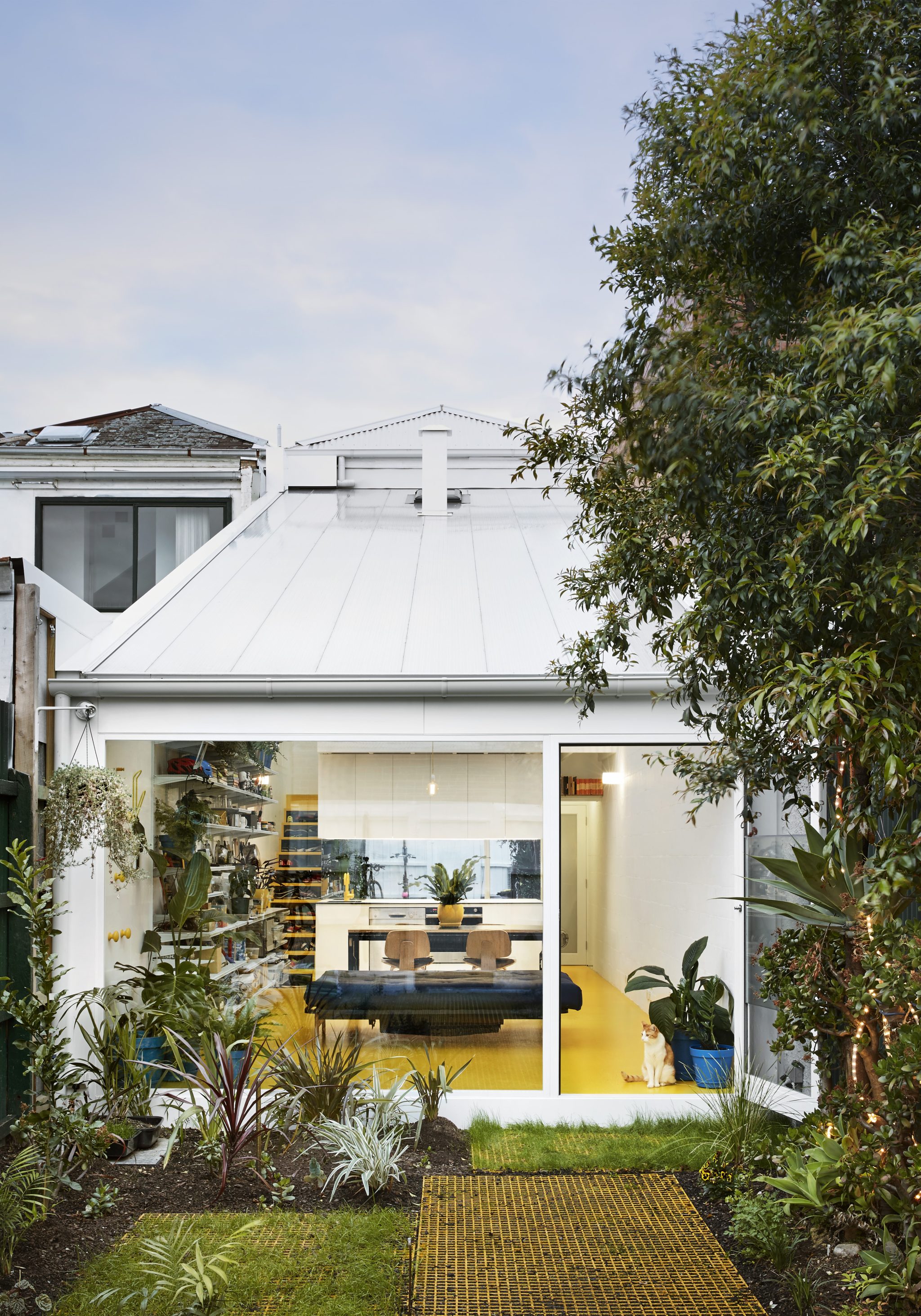 Austin Maynard Architects My-house project with polycarbonate