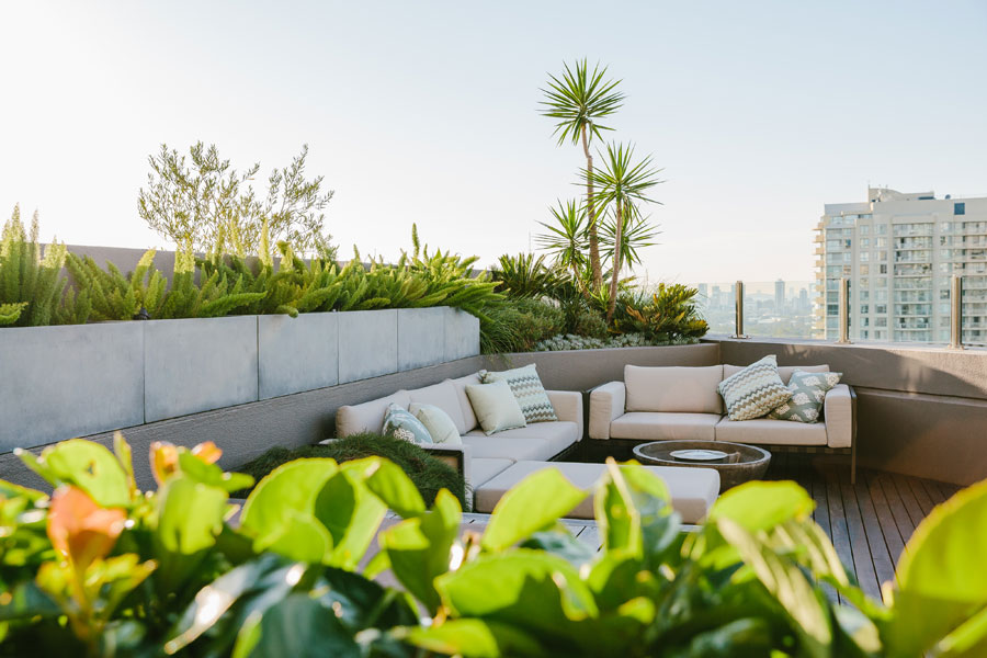 Chatswood rooftop by Outdoor Establishment. Photo by Lina Hayes.