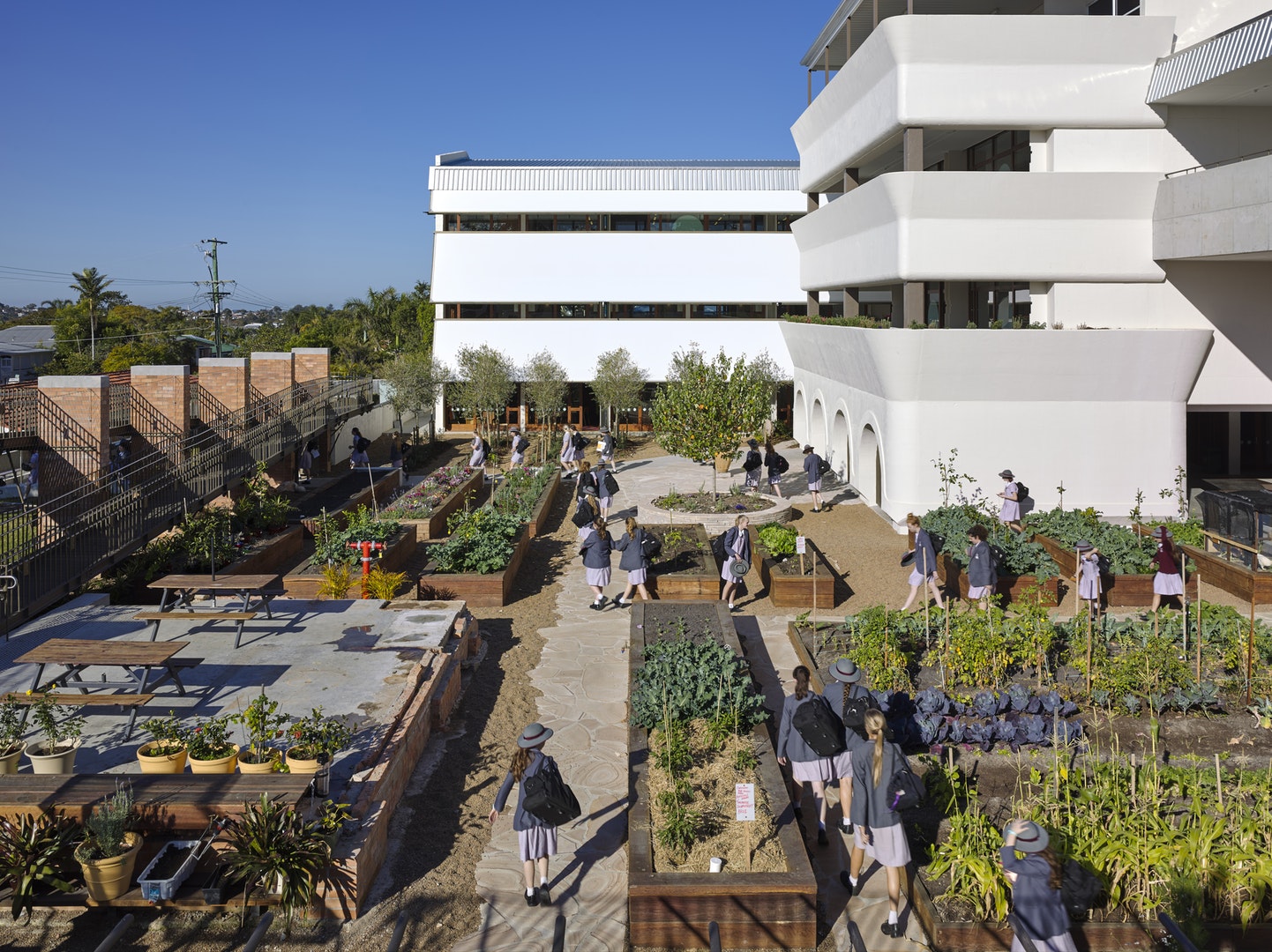 Educational Award – Mt Alverna School by m3architecture. Photo by Christopher Frederick Jones.