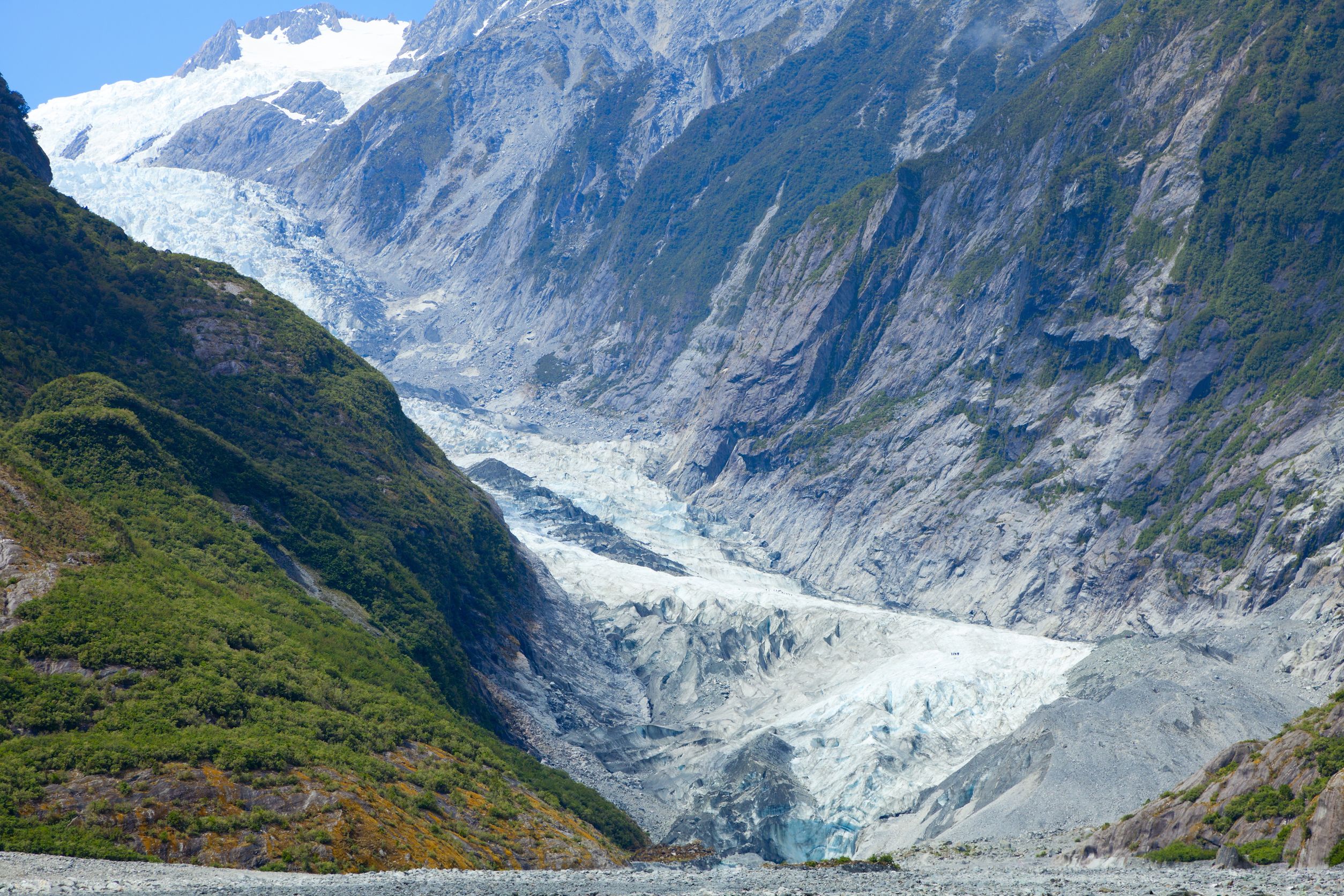 Franz Josef glacier in New Zealand