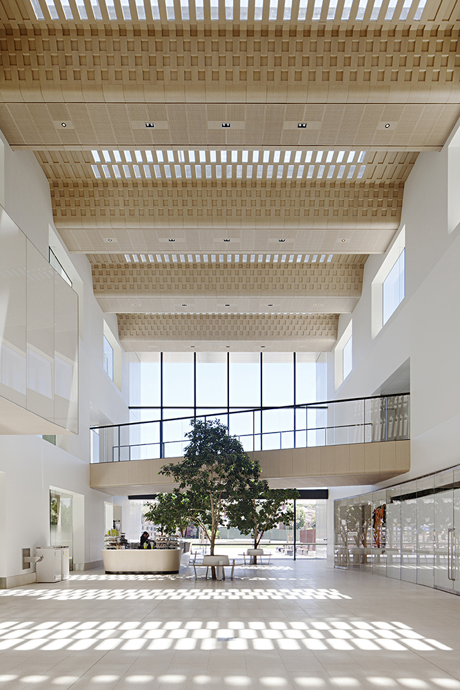 Bendigo Hospital – Silver Thomas Hanley in collaboration with Bates Smart