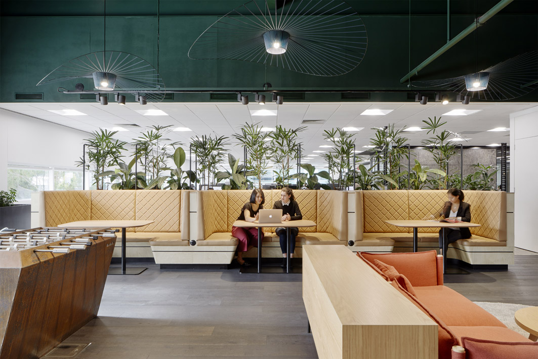 David Jones and Country Road head office by Gray Puksand