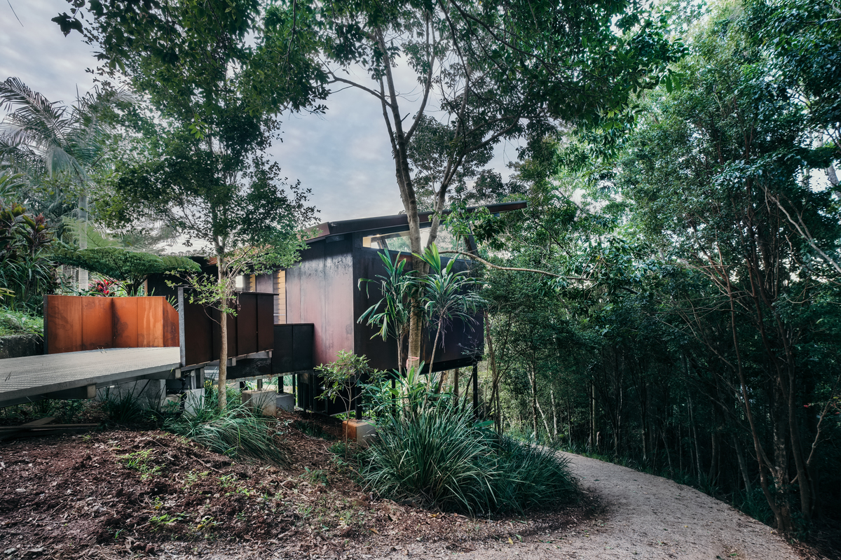 Rainforest on the Byron Bay property