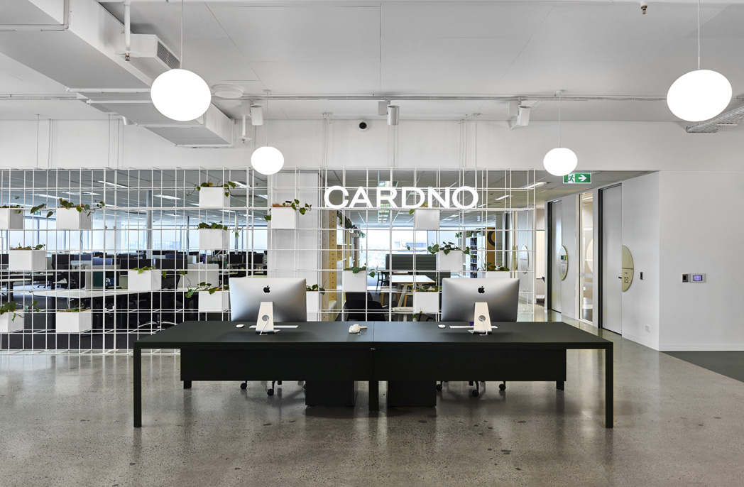 cardno office design