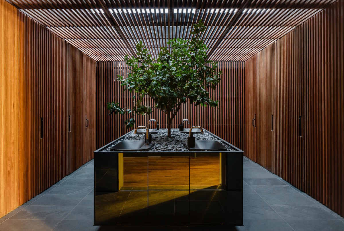 Lemon tree in the showroom