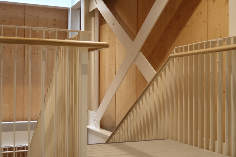Exposed structure and cross laminated timber provides a warm an honest interior