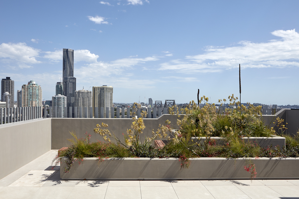 Pocket gardens at Walan in Brisbane