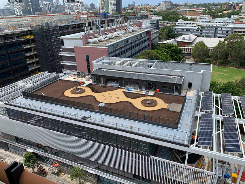 Yerrabingin rooftop farm at Mirvacs South Eveleigh