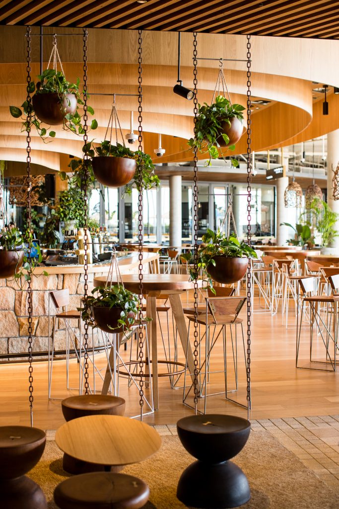 Fender Katsalidis designs a cave-like interior for Harbord Diggers Club ...