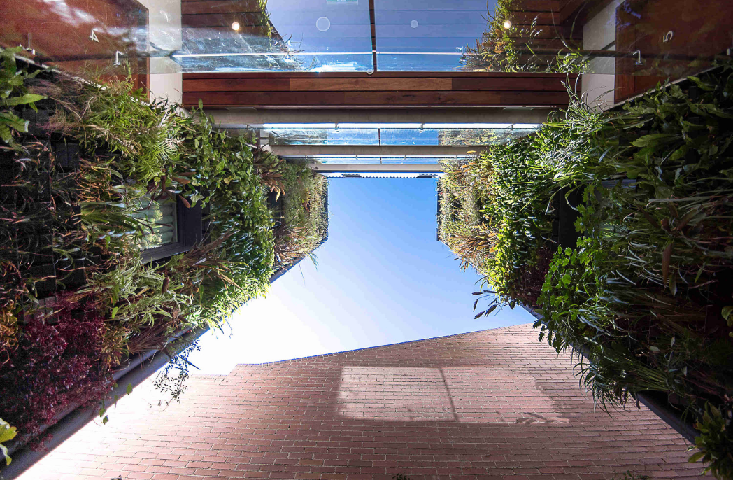 Passivhaus in Redfern Sydney