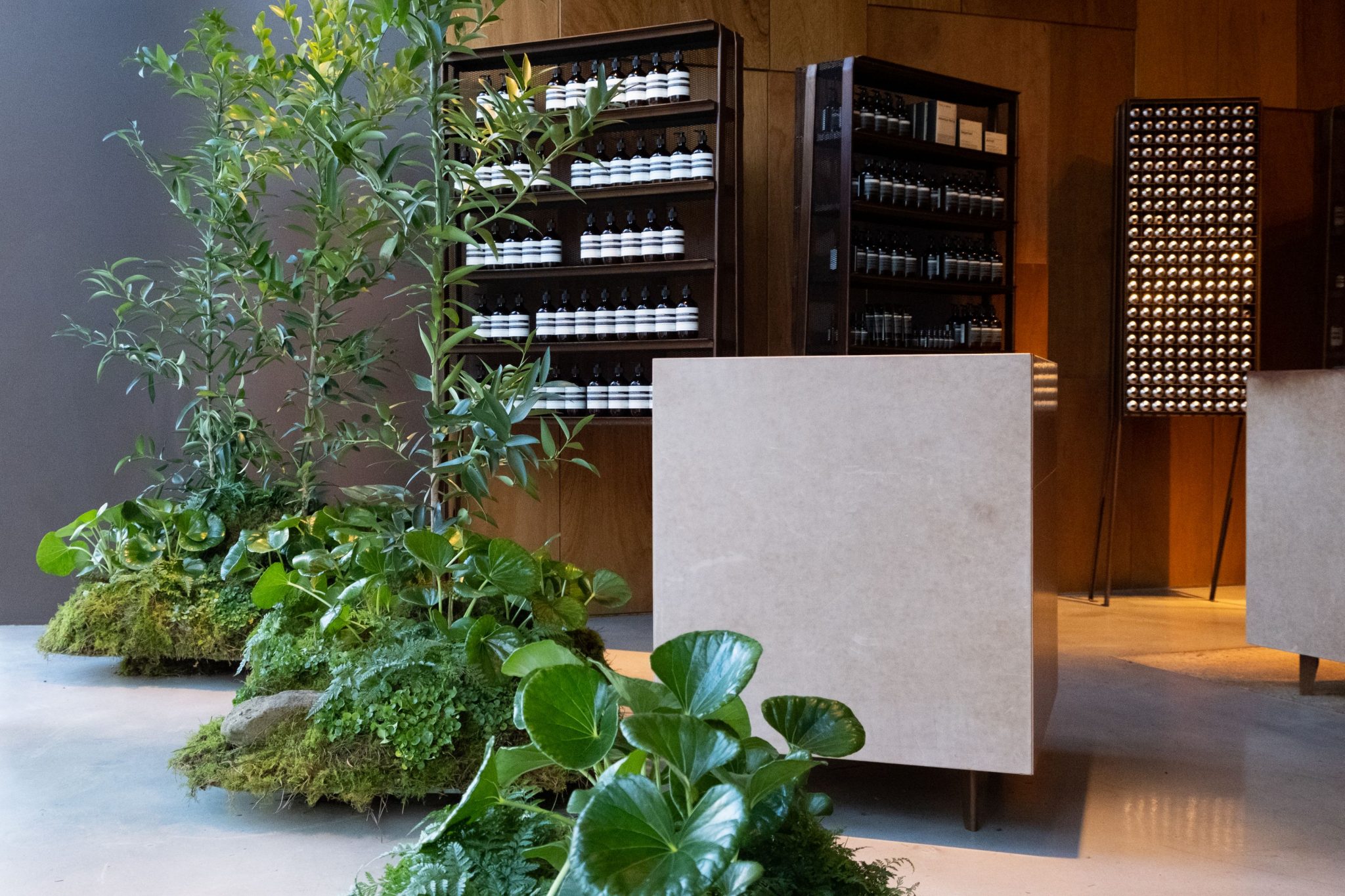 Going for green with The Plant Society Australian Design Review