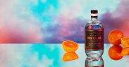 Four Pillars Gin
