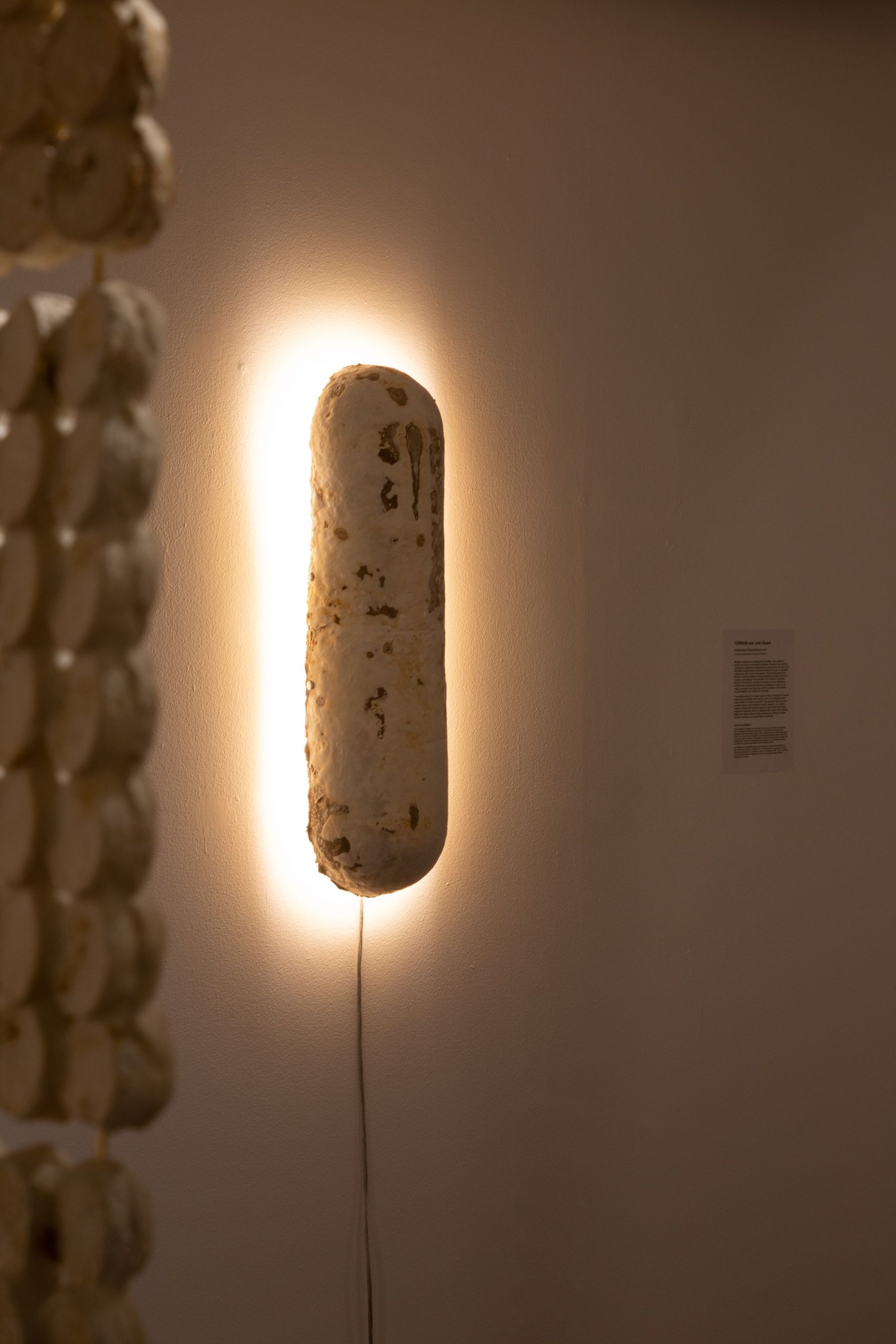 Subterranea Steyaertanum - Australian Design Review