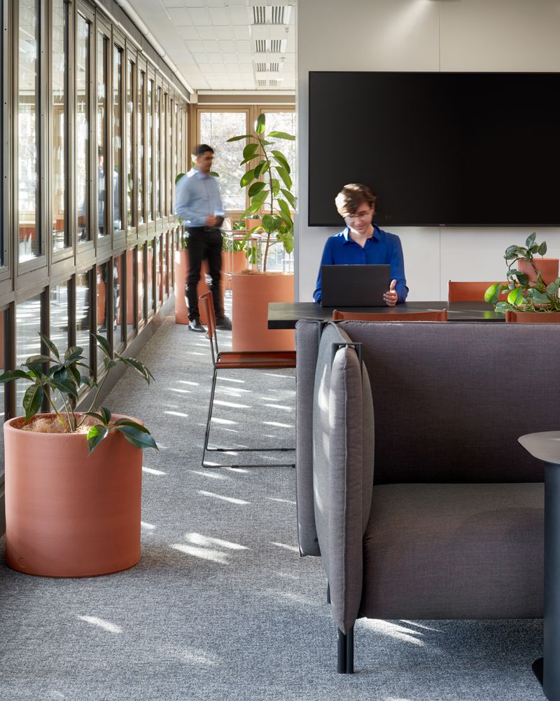 Arup Workplace - Australian Design Review