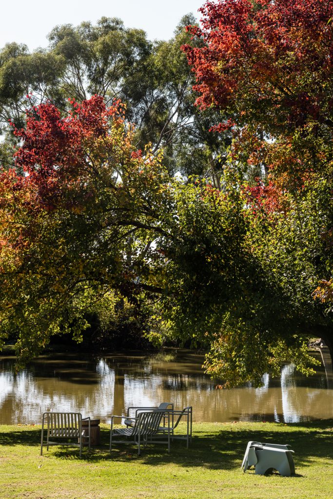 All Saints vineyard, on the banks of the river in Rutherglen, a historic town in regional Victoria