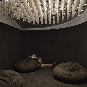 resized_08_8799-educational_SiblingArchitecture_DerekSwalwell