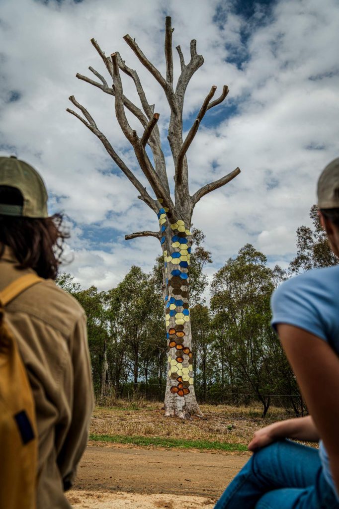 Dead trees reinterpreted through First Nations art.