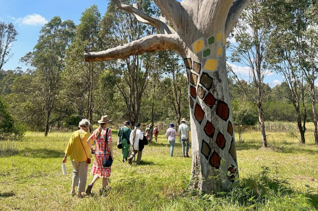 The Gabrunal Yana bushwalk teaches us about connecting with Country.