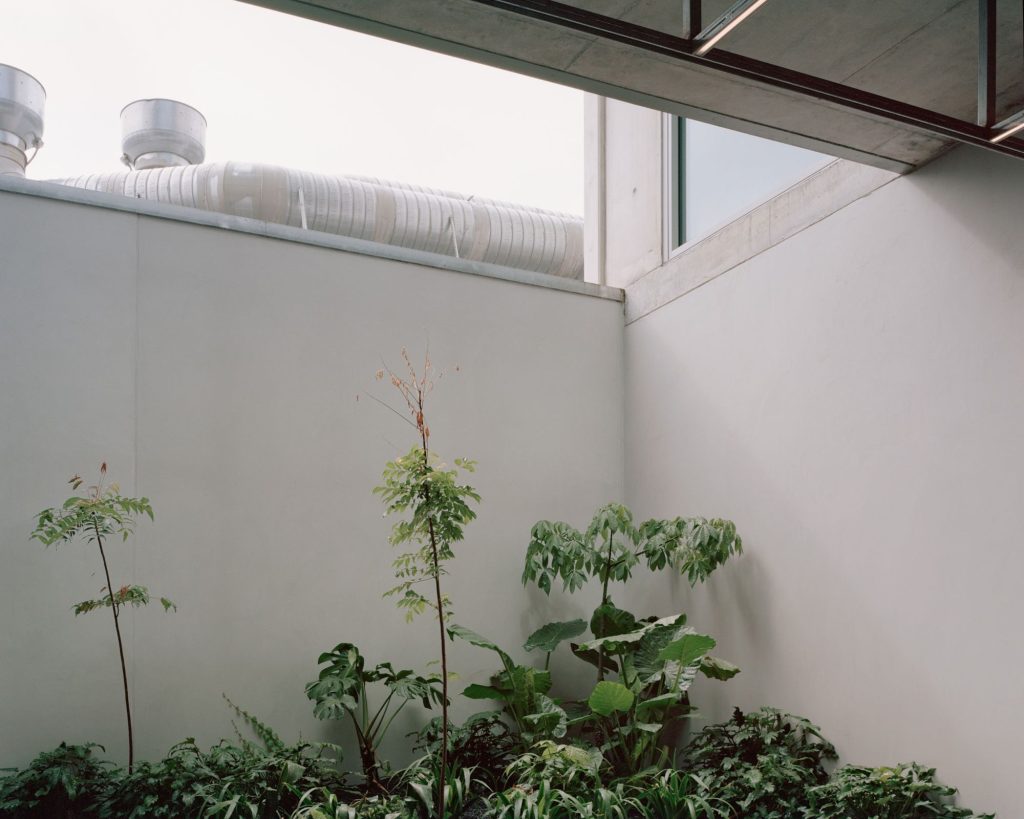 office landscape design