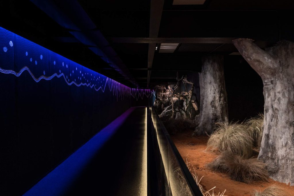Immersive environment simulating reversed day and night cycles, seasonal changes and photoperiods