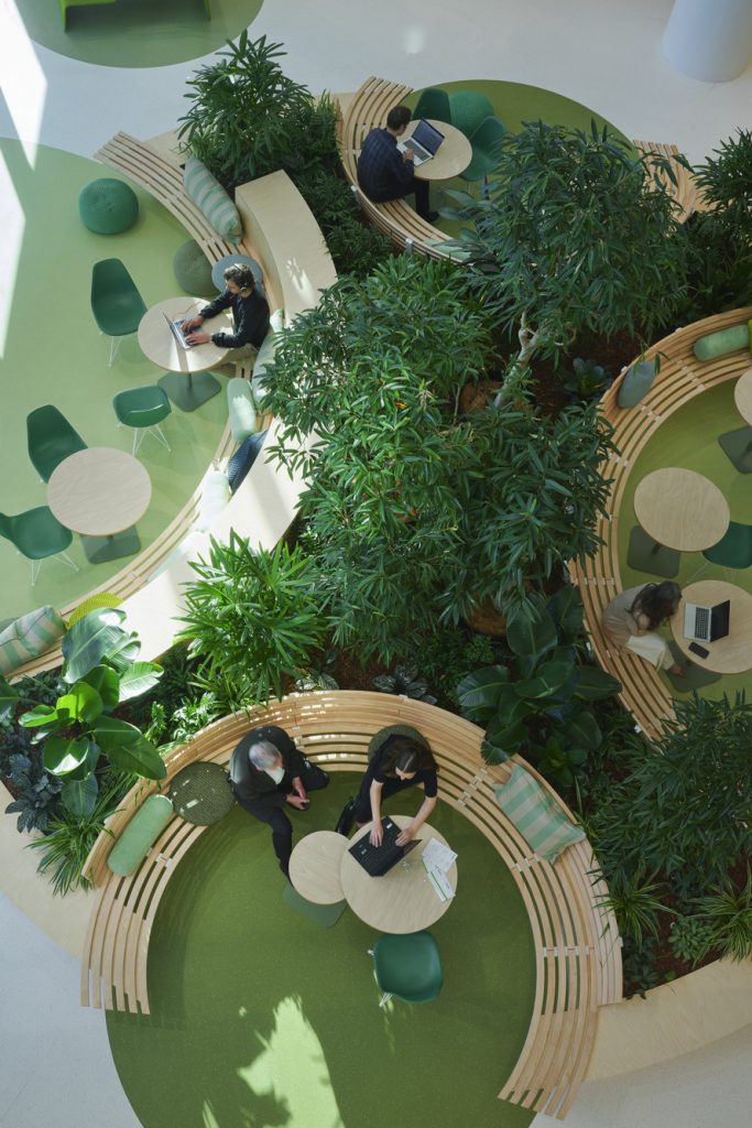 Greening Australian workplaces. Photography by Earl Carter.
