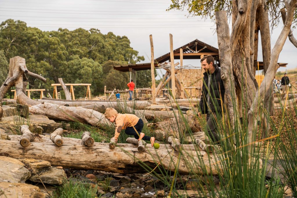 Arcadia announces senior promotions - Australian Design Review