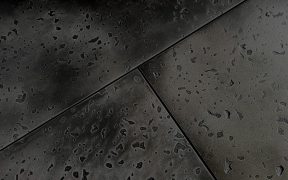 Axolotl metal