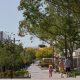 AILA awards VIC