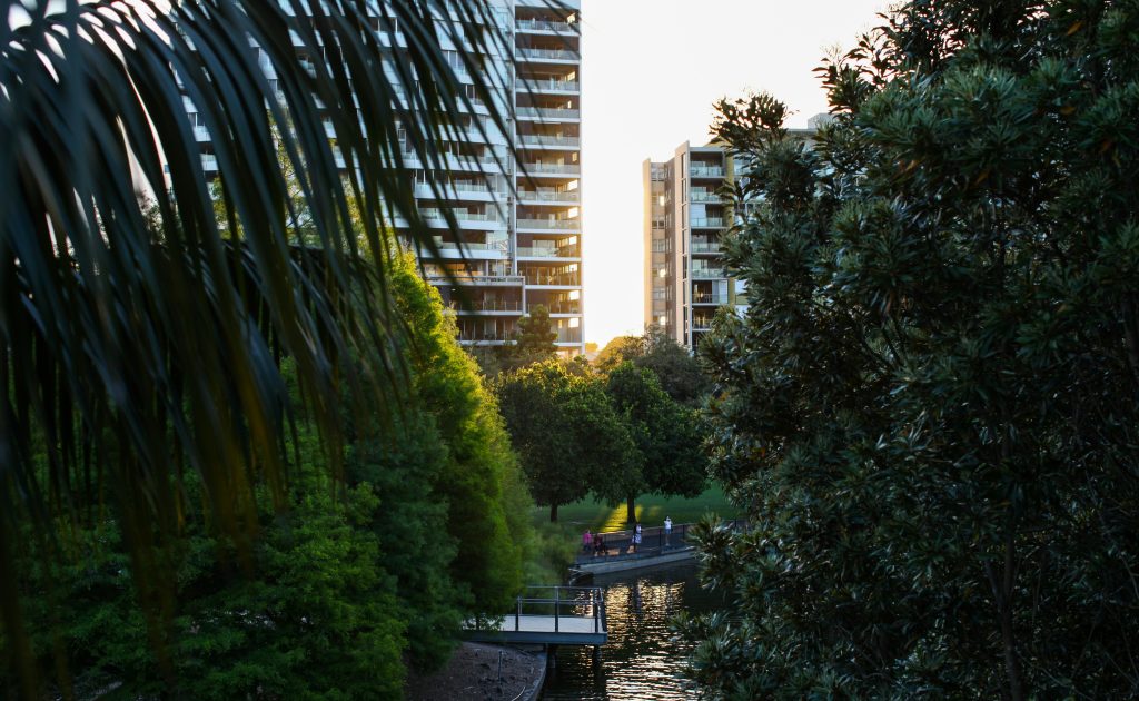 brisbane olympics