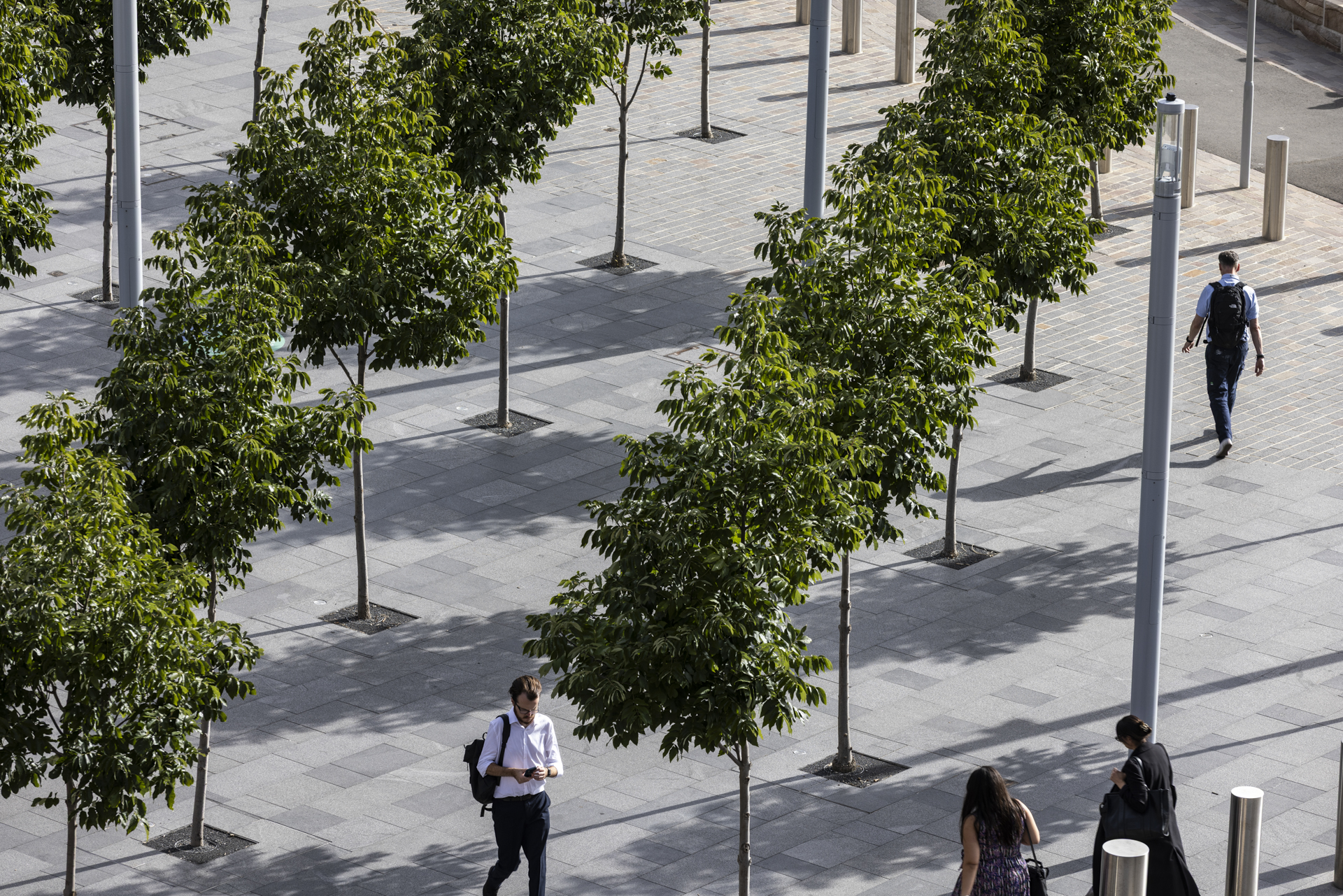 Barangaroo Station Park